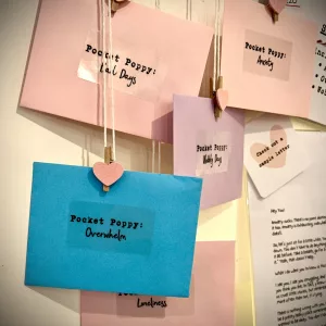 Pocket Poppy Selection